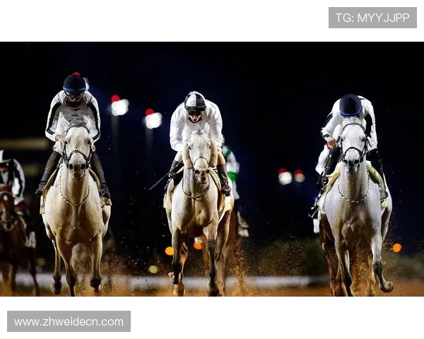 668体育网为用户提供丰富的体育新闻、赛事分析和专家预测助你掌握第一手体育资讯